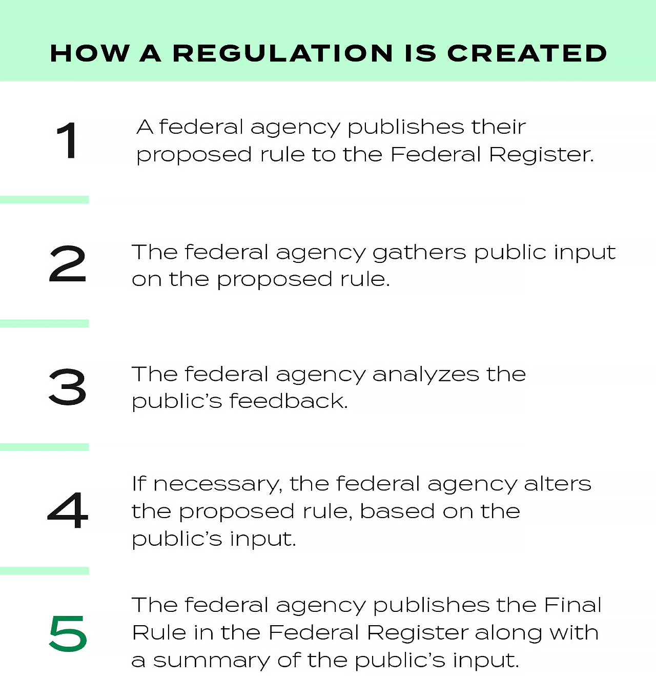 How a regulation is created. Infographic.
